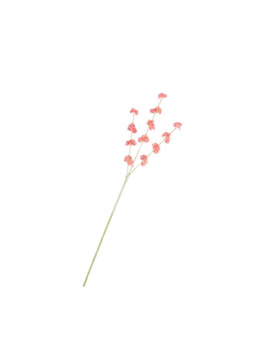 Bloementak Melaleuca roze