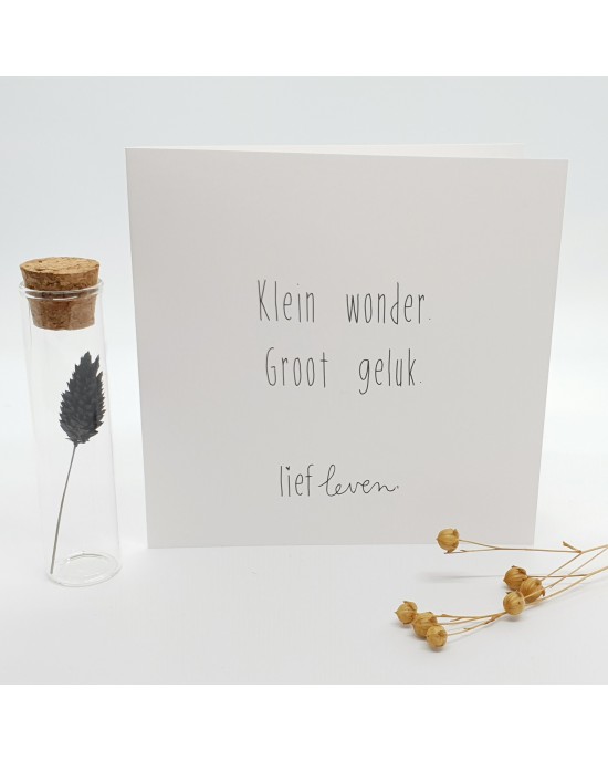 Brievenbus cadeau: Lief Leven - Klein wonder